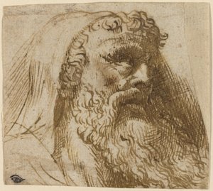 Leder av en mann av Domenico Campagnola