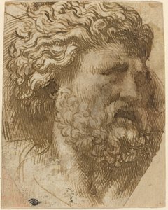 Leder av en mann av Domenico Campagnola