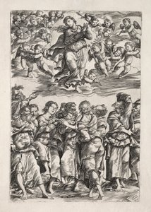 Jomfruens antagelse av Domenico Campagnola