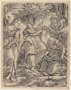 Jomfruen og barnet med de hellige av Domenico Campagnola