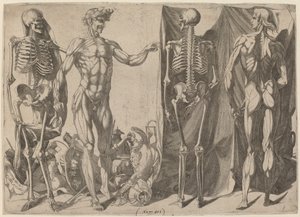 Skjeletter og flådd, ca. 1540-1545.