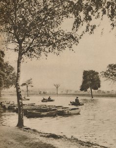 På Blackheath, Stor-Londons mest historiske vanlige, c1935. av Donald McLeish