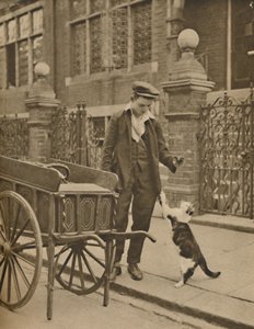 En av de best etablerte handelene: A Customer and the Cats-Meat Man, c1935. av Donald McLeish