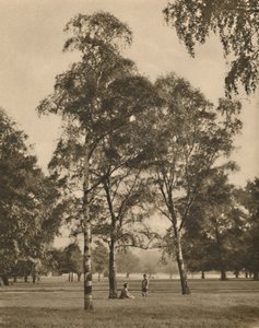 The Lace-Work of the Leaves: A Summer Morning in Hyde Park, c1935. av Donald McLeish