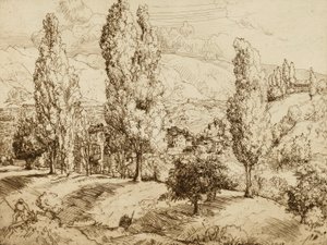  av Donald Shaw MacLaughlan