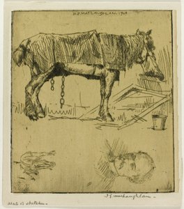 Plate med skisser av Donald Shaw MacLaughlan