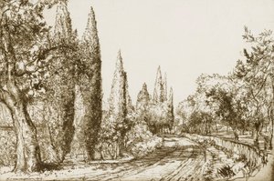 av Donald Shaw MacLaughlan