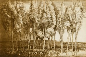  av Donald Shaw MacLaughlan