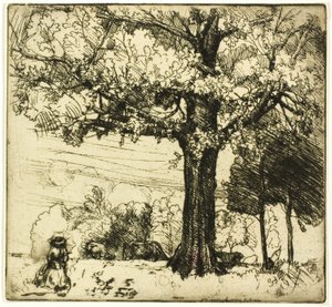 Den store eiken av Donald Shaw MacLaughlan