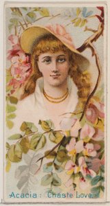 Acacia: Chaste Love, fra serien Floral Beauties and Language of Flowers N75 for Duk..., 1892.