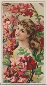 Azalea: Attraction, fra serien Floral Beauties and Language of Flowers N75 for Duke..., 1892. av Donaldson Brothers