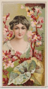 Begonia: Originality, fra serien Floral Beauties and Language of Flowers N75 for Du..., 1892. av Donaldson Brothers