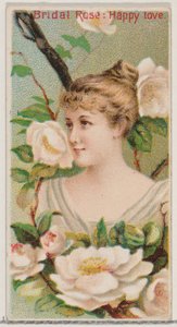 Bridal Rose: Happy Love, fra serien Floral Beauties and Language of Flowers N75 for..., 1892. av Donaldson Brothers
