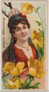 Buttercups: Riches, fra serien Floral Beauties and Language of Flowers N75 for Duke..., 1892. av Donaldson Brothers