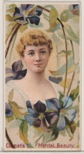 Clematis: Mental Beauty, fra serien Floral Beauties and Language of Flowers N75 for..., 1892. av Donaldson Brothers