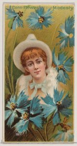 Cornflower: Modesty, fra serien Floral Beauties and Language of Flowers N75 for Duk..., 1892.