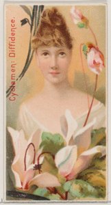 Cyclamen: Diffidence, fra serien Floral Beauties and Language of Flowers N75 for Du..., 1892. av Donaldson Brothers