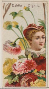Dahlia: Dignity, fra serien Floral Beauties and Language of Flowers N75 for Duke br..., 1892. av Donaldson Brothers