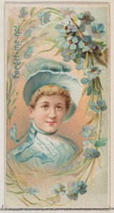 Forget-Me-Not, fra serien Floral Beauties and Language of Flowers N75 for Duke bran..., 1892. av Donaldson Brothers