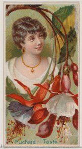 Fuchsia: Taste, fra serien Floral Beauties and Language of Flowers N75 for Duke bra..., 1892. av Donaldson Brothers