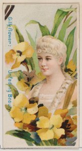 Gilly-flower: Unfading Beauty, fra serien Floral Beauties and Language of Flowers N7..., 1892.