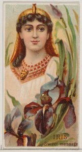 Iris: Sweet Message, fra serien Floral Beauties and Language of Flowers N75 for Duk..., 1892. av Donaldson Brothers