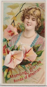 Morning Glories: Bonds of Affection, fra serien Floral Beauties and Language of Flowe..., 1892. av Donaldson Brothers