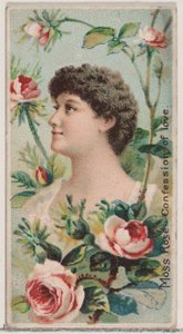 Moss Rose: Confession of Love, fra serien Floral Beauties and Language of Flowers N7..., 1892.