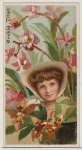Orchid: Trust, fra serien Floral Beauties and Language of Flowers N75 for Duke bran..., 1892. av Donaldson Brothers
