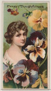Pansy: Thoughtfulness, fra serien Floral Beauties and Language of Flowers N75 for D..., 1892. av Donaldson Brothers