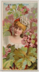 Primrose: Flirtation, fra serien Floral Beauties and Language of Flowers N75 for Du..., 1892. av Donaldson Brothers