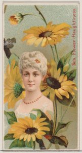 Sunflower: Haughtiness, fra serien Floral Beauties and Language of Flowers N75 for ..., 1892.