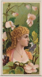 Sweet-Peas: Goodbye Sweetheart!, fra serien Floral Beauties and Language of Flowers ..., 1892.