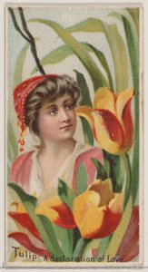 Tulip: A Declaration of Love, from the series Floral Beauties and Language of Flowers N75..., 1892.    1181306   no       norwegian Successfully Translated  Original: At long last he came to a great farm Translat: At long last he came to a great farm 13201 av Donaldson Brothers