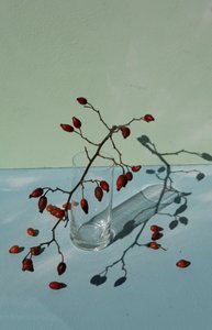  av Donatella Basso