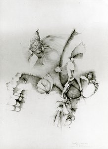  av Donatella Merlo