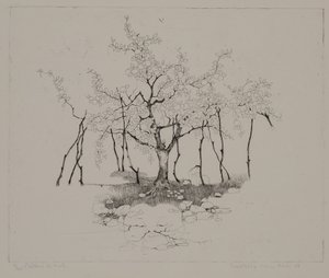Epletreet av Donatella Merlo