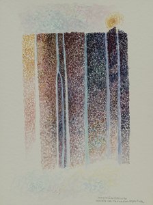 Tronador-fallene, Argentina