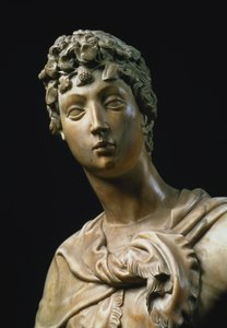David, detalj av hodet, 1408 marmordetalj av 79334