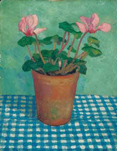 Cyclamen i en gryte (olje om bord)