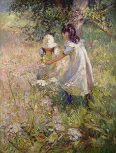  av Dorothea Sharp
