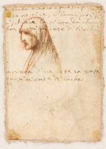 Bust-lengde profil av en gammel kvinne verso, ca. 1521. av Dosso Dossi
