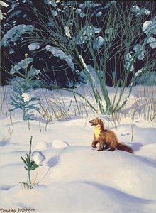  av Douglas Anderson