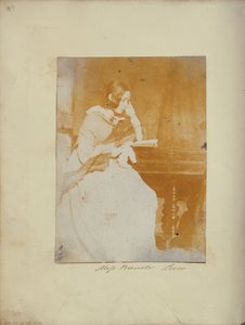 Frøken Brewster