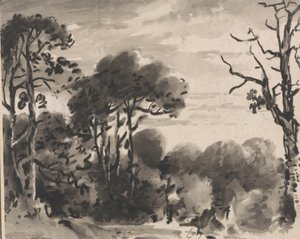 Komposisjon: The Edge of a Wood