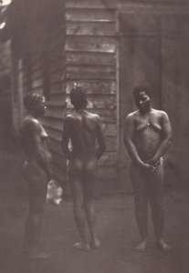 Tre madagaskiske kvinner (plate 30)