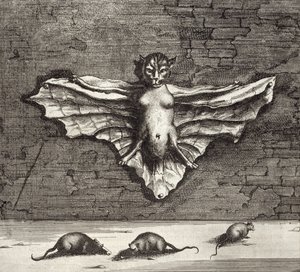 En flaggermus kjent som en flygende katt, fra Kina Illustrert av Athanasius Kircher (1601-80) 1667 av Dutch School