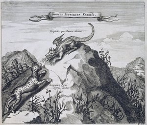 Et fjell i Jiangxi-provinsen med steiner kjent som dragen og tigeren, fra Kina Illustrert av Athanasius Kircher (1601-80) 1667 av Dutch School