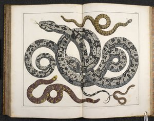 En Python, fra 