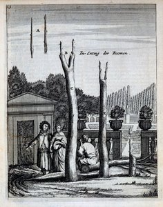 Lime and Orange Trees, fra De Nederlandze Hesperides av Jan Commelin, utgitt 1676 av Dutch School